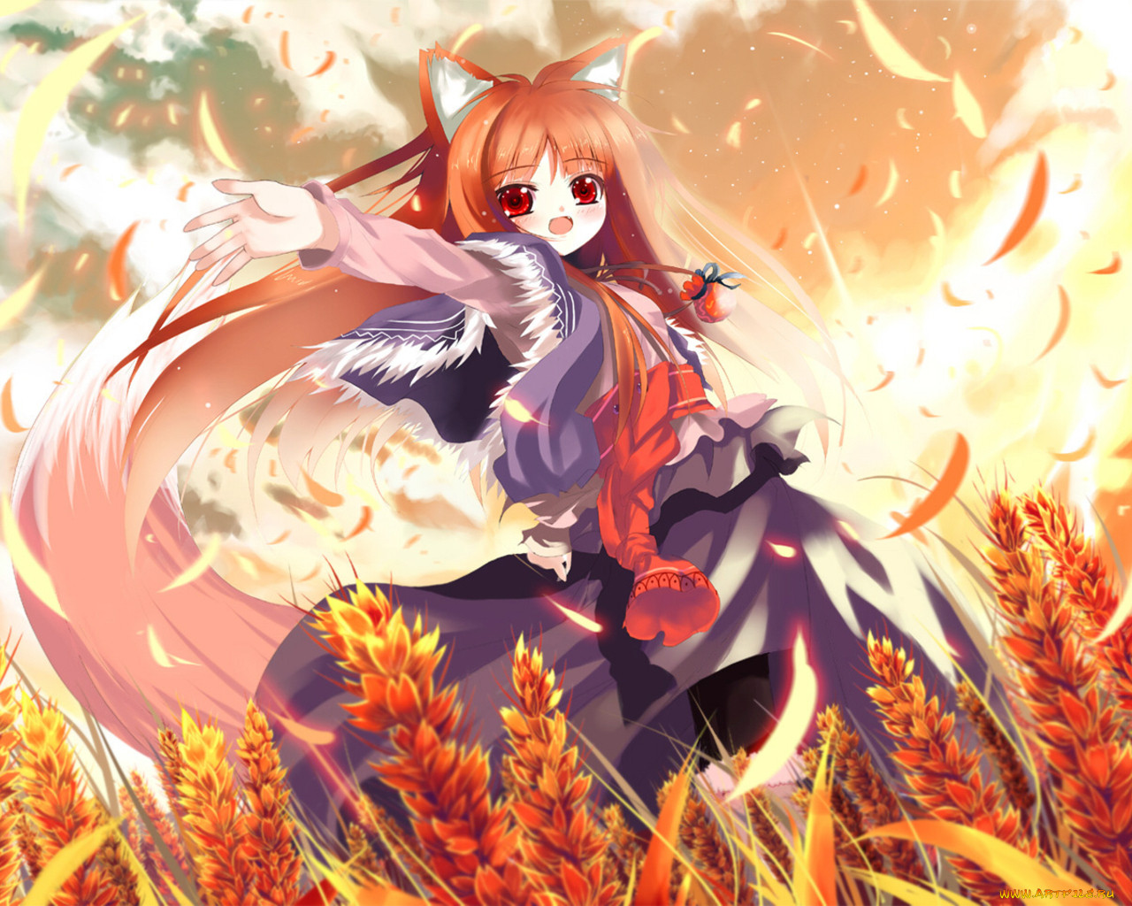 , spice, and, wolf